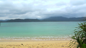 小浜島に来て2週間ほど経ちました