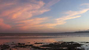 小浜島に来て、2ヶ月が経ちました