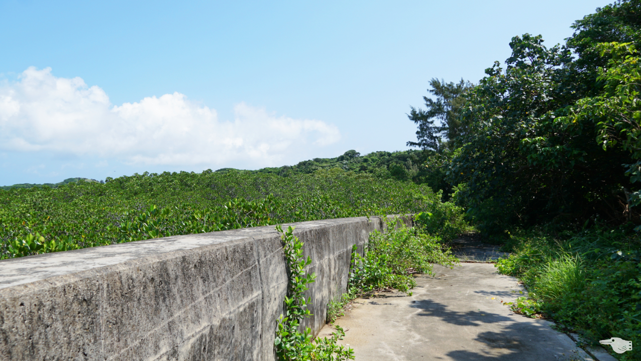 石長田海岸の展望台の下にある林の裏道の画像