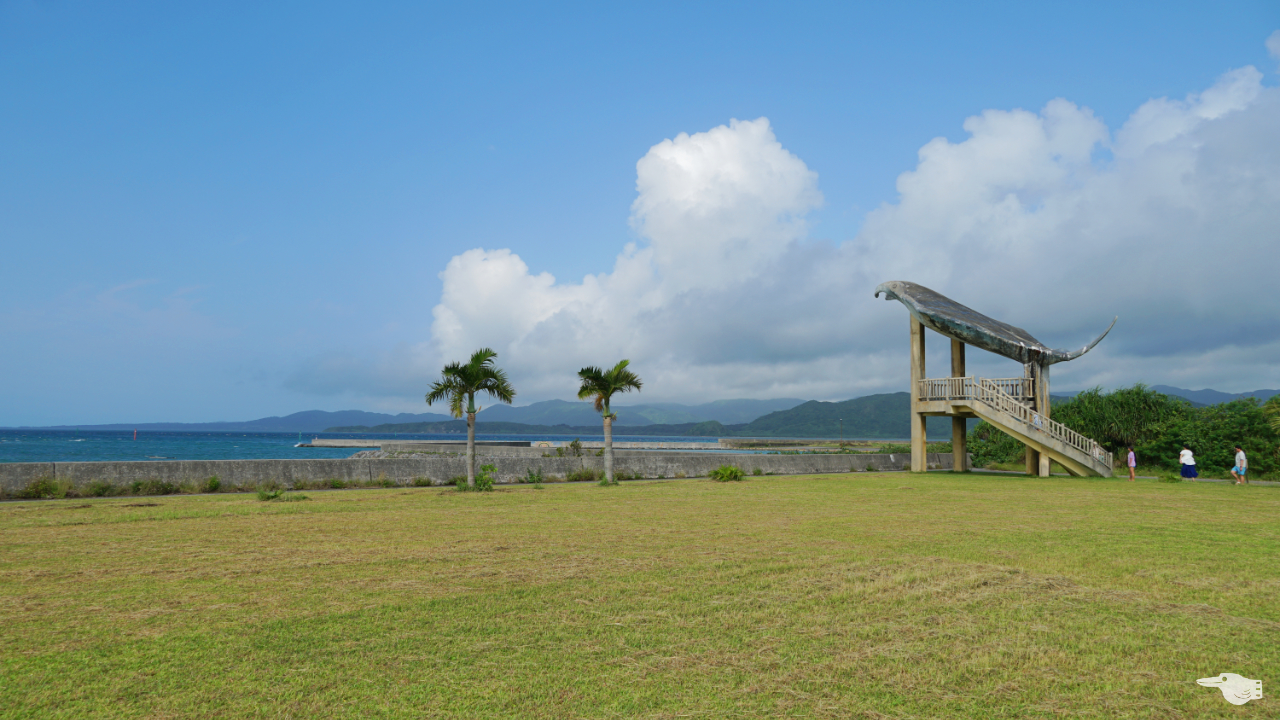 海人公園のマンタ展望台と芝生の画像