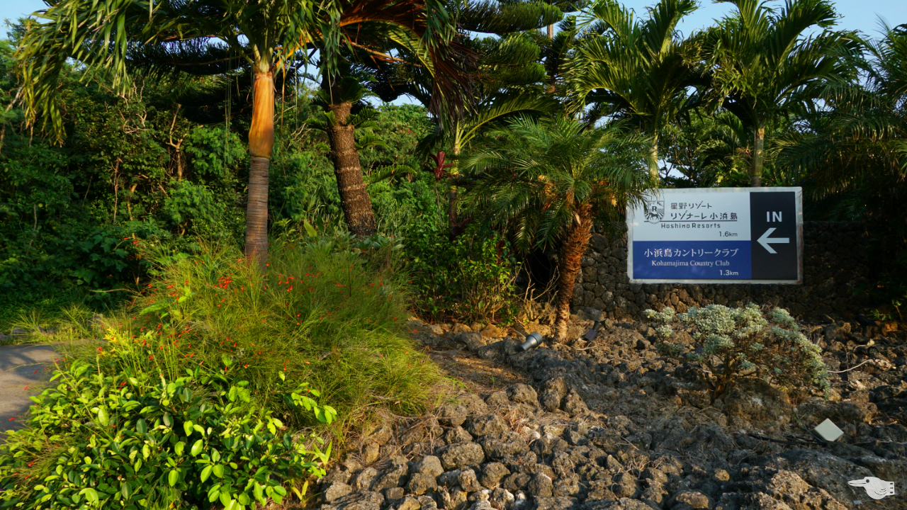 星野リゾート「リゾナーレ小浜島」に向かう入り口の画像