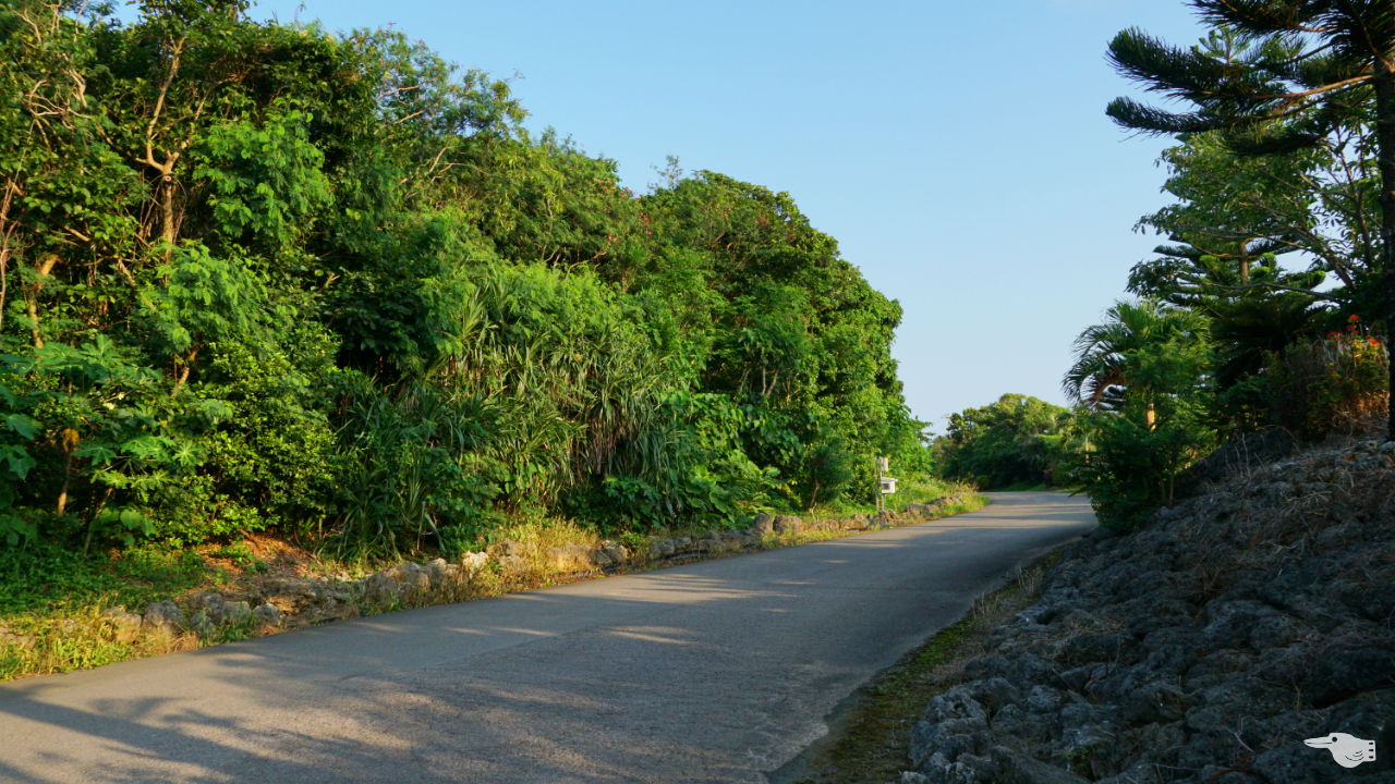 リゾナーレ小浜島の施設に続く舗装道の画像