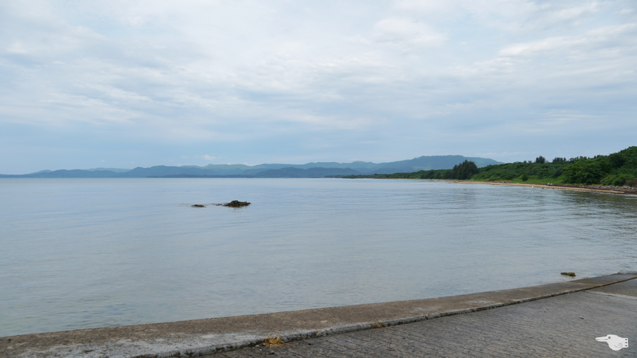 つんつくビーチの画像